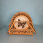Vintage rattan butterfly print coaster set